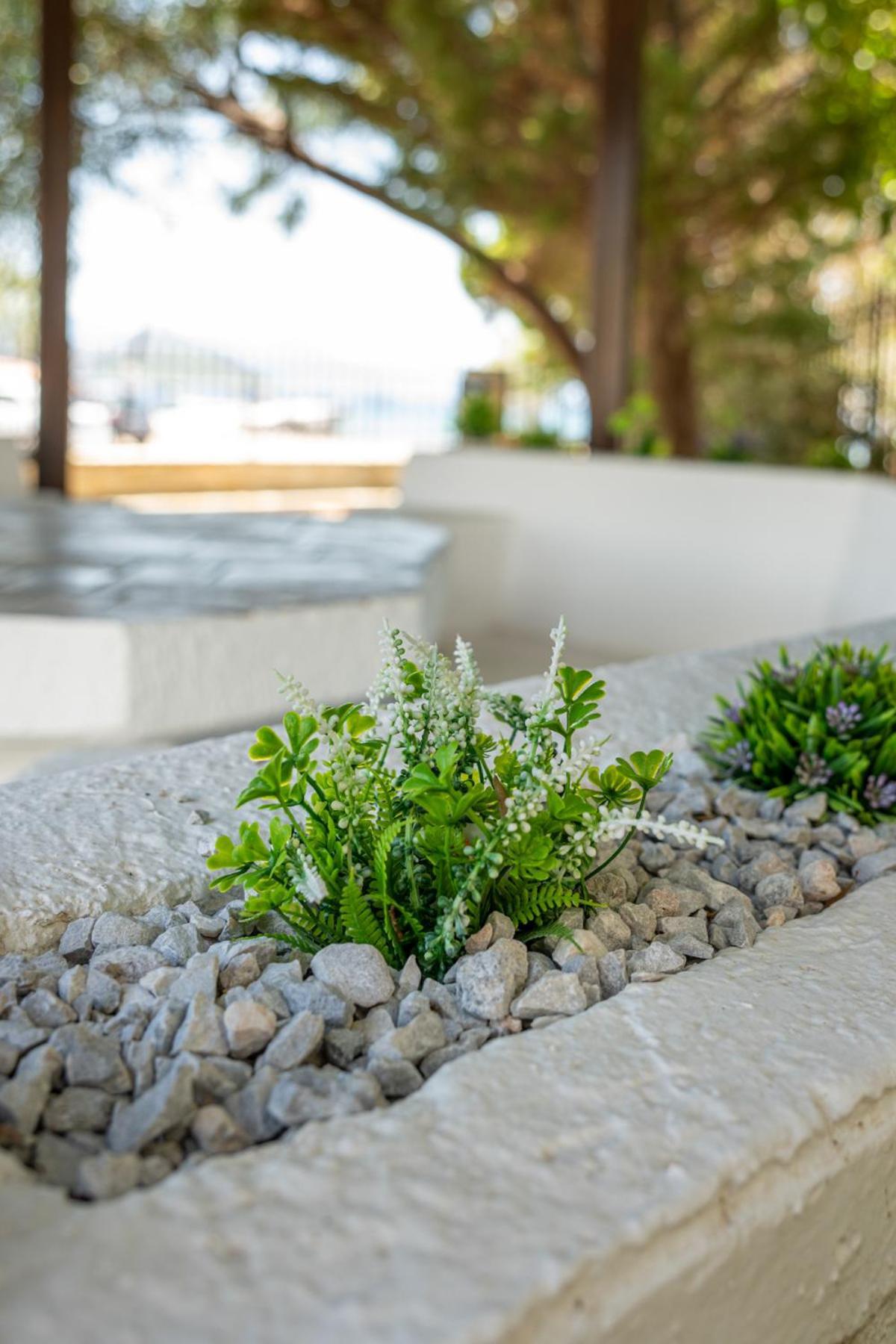 Alkis Guest House By Aegiankazarte Kapotidhes Exterior photo